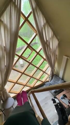 The video presents an eye-level, downward-angled view from inside a room with a unique, diamond-patterned window offering a view of a green, wooded area. A person wearing pink socks and a dark-colored garment sits with their feet propped on wooden stairs with railing in the foreground. The large window is framed by beige curtains. In the background, a gray cushion chair, a small table, and a white radiator are visible. A black and white dog is on the floor near the table. The camera angle is static, and the focus remains consistent throughout the brief video.