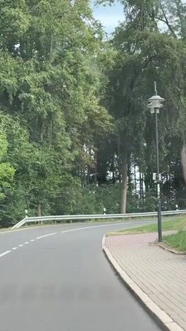 A car drives on a paved road with a white line marking the lane. The road curves to the left, bordered by a metal guardrail on the left and a brick sidewalk on the right. Lush green trees line the road, creating a tunnel-like effect. A black lamppost stands on the right side of the road near the sidewalk. The sky is overcast.
