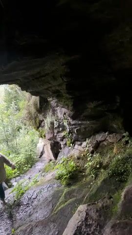 A person wearing a light-colored hoodie and blue jeans stands on a wet, rocky path, looking out from the entrance of a dark cave. The cave opening frames a lush green forest with trees and foliage. The rocks in the cave are dark and mossy. Water appears to be dripping down the rock face. The path leads further into the forest.