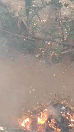 Leaf burning fire documented in Badem, India