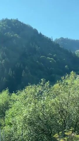 This is a vertical video of a mountain covered in lush green trees under a clear blue sky. In the foreground, there is a fence with some vehicles visible behind it, including what appears to be a white bus or camper van and several cars. The fence has a white pole and some signs, one of which has the word "DIAGNOZA" visible. The overall impression is a natural, scenic landscape with some man-made elements in the immediate foreground.