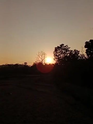 A low-angle, static medium shot captures a sunset scene. The sun, a bright orb with a noticeable lens flare, is partially obscured by trees. Silhouetted trees and foliage form a dark line across the middle ground and right side of the frame. In the foreground, a field of dry grass or stubble is visible, with subtle horizontal lines suggesting furrows. The sky is a gradient of pale orange and yellow, transitioning to a darker hue towards the top of the frame. The overall impression is one of twilight or early evening in a rural setting.