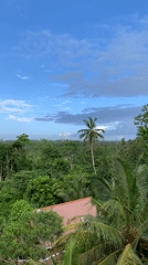 Rural construction and landscape documented in Karandugoda, Sri Lanka