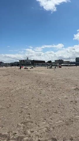 The video shows a wide, sandy beach under a partly cloudy blue sky. In the distance, there are buildings, some with balconies, and several beach umbrellas are visible. Closer to the foreground, there are a few scattered people. In the center of the frame, a group of people are sitting on the sand, some near beach chairs and bags. Several seagulls are present on the beach, some walking and some appearing to be interacting with each other or with potential food sources. One person is standing on the left side of the frame, facing away from the camera. Further in the distance, a kite shaped like a butterfly is flying in the sky. The overall scene depicts a typical day at a crowded beach.