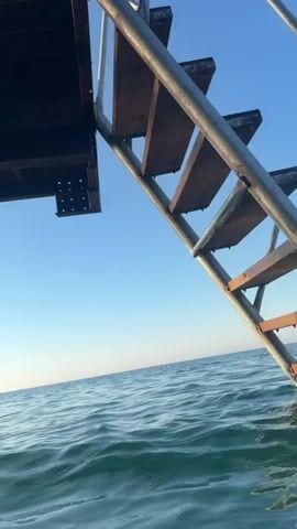 A video showing an underwater view beneath a pier. The water is clear and a bright teal color, with sunlight dappling the sandy bottom. A large school of small, silver fish swims in unison around a thick, wooden pier piling. The camera appears to be submerged, offering a close-up perspective of the marine life and the underwater structure.
