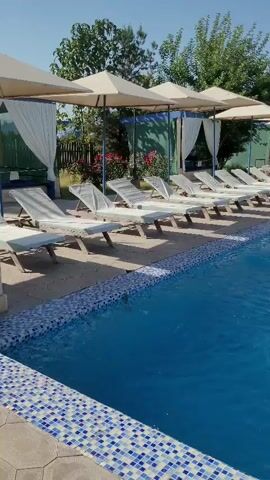 A poolside scene is depicted. In the foreground, a bright blue swimming pool with a tiled edge is visible. Beyond the pool, a row of empty lounge chairs with white cushions are lined up, each under a beige canopy. Trees and foliage form the background, with a hint of a blue structure or sky behind the canopies. The overall impression is one of a serene and inviting outdoor relaxation area.