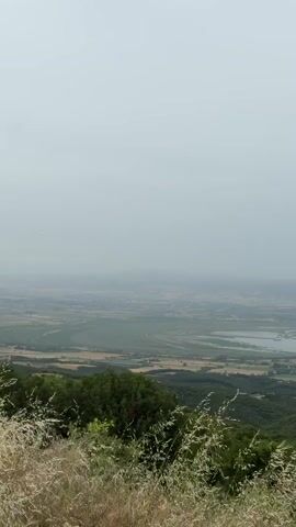 The video pans across a hazy landscape viewed from a high vantage point. In the foreground, tall, dry grass with white tips sways gently. Below this, a dense, dark green forest covers the hillside, with some lighter green trees interspersed. A winding dirt road is visible cutting through the trees further down the slope. Beyond the immediate forest, the land opens up into a wide valley. Patches of yellow and brown fields are visible, interspersed with darker green forested areas. A body of water, possibly a lake or a series of ponds, is present in the middle ground, reflecting the overcast sky. A small cluster of buildings, appearing to be a village or town, is situated near the water. In the far distance, more rolling hills and plains fade into the hazy horizon, suggesting a vast, expansive terrain under a diffused, cloudy sky. No people or specific actions are depicted. The overall environment is rural and natural, with agricultural elements and water features dominating the scene.