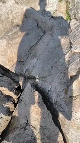 The video begins with a close-up shot of large rocks and shadows on their surface. The camera then pans upward and away, revealing a mountainous landscape with more rocks, scattered green bushes, and evergreen trees. The sky is blue with some white clouds. The camera continues to move, offering a wider view of the rugged terrain. In the distance, a large mountain range covered in trees can be seen under a clear blue sky with scattered clouds. The overall impression is one of a remote, natural, and possibly high-altitude environment.