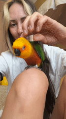 Morning in Khimki: a colorful parrot and rainy-day snapshots