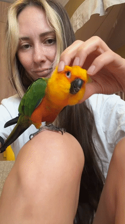 Morning in Khimki: a colorful parrot and rainy-day snapshots