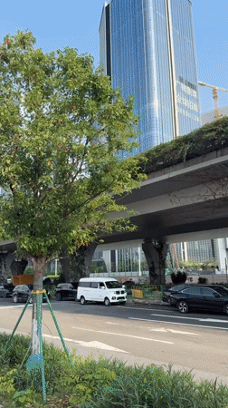 Morning street life documented across Guangzhou's urban districts