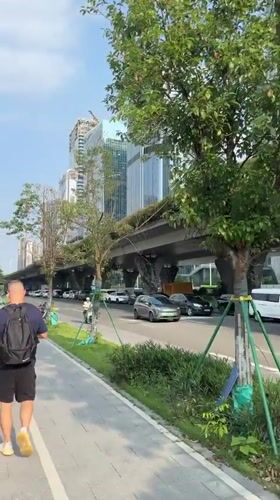 Morning street life documented across Guangzhou's urban districts