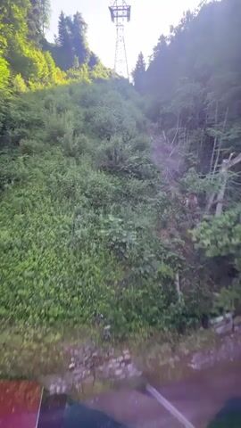The video shows a view from a moving vehicle ascending a steep, wooded mountainside. A tall metal pylon, part of a cable car system, is visible in the distance against a bright sky. The slope is covered with dense green foliage, including various types of trees and shrubs. Sunlight filters through the trees, creating patches of light and shadow on the ground. Dead trees and branches are scattered on the right side of the slope. The bottom portion of the video shows a blurry red and brown reflective surface, likely part of the vehicle's interior or exterior. The overall scene depicts a natural, mountainous environment with infrastructure for transportation.