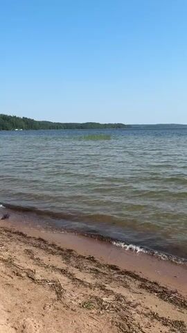 A short video shows a view of a lake from a sandy beach. The water is calm with small waves lapping at the shore. The sky is clear and blue. Trees line the distant shore. The sand on the beach is littered with small pieces of debris.