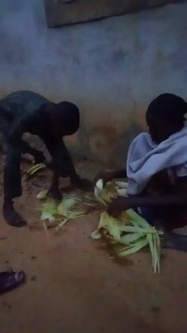 Two people are preparing corn outdoors. One person stands and bends over, peeling corn husks, while the other person sits and peels corn. The ground is dirt. The lighting is dim.