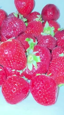 The video shows a close-up of a white bowl filled with fresh strawberries. A person's hand is visible in the upper left corner of the screen, picking up a strawberry. As the video progresses, the camera pans down to show a person eating a strawberry from the bowl. The person is shirtless, and the background is blurred, suggesting an indoor setting. The strawberries are bright red and appear to be ripe.