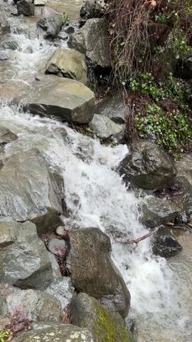 The video depicts a small stream flowing over rocks. The water is clear and runs quickly, creating mini waterfalls. The rocks are various sizes and shades of gray, some covered with moss. Some vegetation grows on the banks of the stream. There is a fallen branch across the stream. Someone is talking in the background.