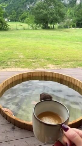 The media file is a close-up video clip filmed outdoors, likely in Bistrica, Montenegro, showcasing a man relaxing in a wooden hot tub filled with water. He is partially submerged, with his head and shoulders visible. In the foreground, a hand with dark nail polish holds a mug of coffee, offering it to the man. The man is looking towards the hand holding the coffee and smiling, suggesting a moment of shared relaxation and enjoyment.

The setting is a lush, green outdoor space with a grassy field stretching into the background. Trees are visible, and a faint hint of mountains or hills can be seen in the distance, under a bright, overcast sky. The overall atmosphere is peaceful and serene, evoking a sense of a tranquil vacation or retreat. The time of day appears to be daytime, likely late morning or afternoon, given the soft, diffused light.

The man's expression is relaxed and happy, and the act of sharing coffee in a hot tub implies a personal and intimate moment. The wooden hot tub itself is a prominent object, made of several planks of wood joined together. The coffee in the mug is a rich brown color with a foamy crema, indicating it's likely espresso or a similar strong coffee.

There is no visible text within the media file itself. The focus is on the natural beauty of the surroundings and the intimate interaction between the two individuals.