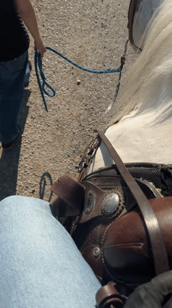 Horseback rider captured on gravel path in Spino d'Adda