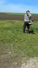 Man performs field edge maintenance with weed trimmer