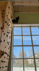 Indoor climbing training session documented in Izhevsk gymnasium