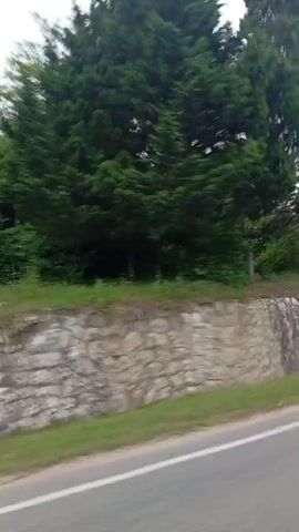 A shaky, blurry, first-person perspective video shows a roadside scene. The camera pans to the left, revealing a stone wall bordering a grassy area. Beyond the wall, trees and foliage are visible, including a tree with pink flowers. The sky is overcast. The video appears to be shot from a moving vehicle.