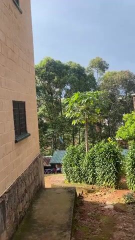 The video opens with a view of a lush green landscape with tall trees and a clear blue sky. The camera then pans to the side, revealing a textured brick wall with a dark doorway. Next, the scene shifts to a glimpse of a stone wall, followed by a shot of a small body of water flowing under a bridge surrounded by dense green foliage. The camera then focuses on a vibrant green hedge, before finally showing a set of outdoor concrete stairs leading upwards, flanked by greenery and a building in the background.