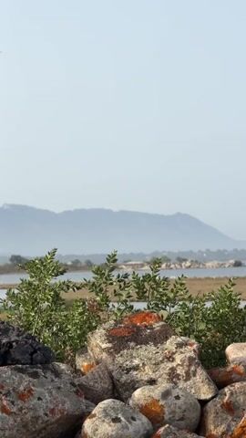 A low-angle video pans across a rocky foreground to a distant mountain range across a body of water. The foreground is dominated by rough-hewn stones, some with orange lichen, and some sparse green foliage. Beyond the rocks and plants, a calm body of water is visible, with a line of trees or reeds along its edge. In the distance, a hazy, blue mountain range forms the backdrop under a pale, clear sky. The overall impression is one of a natural, serene landscape.