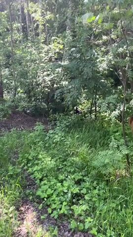 The video shows a dirt bike rider falling off of their bike in a forest. The rider is wearing dark clothing and a helmet. The dirt bike is white and red. The rider appears to lose control of the bike, going off of the path and falling to the side, causing the rider to fall off of the bike. The forest is lush and green with many trees and plants. The ground is covered in grass and dirt. The lighting is bright.
