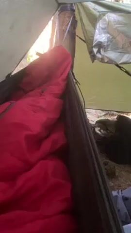 Here is a concise description of the video:

The video shows the inside of a hammock tent setup in a wooded area.  The view starts inside one hammock, where a red sleeping bag is visible. The camera pans out to show another hammock nearby, also suspended under a tarp. A black backpack, various clothes, and a water bottle are on the ground around the hammocks. The forest floor is covered in moss and ground cover. The scene gives the impression of a secluded campsite.