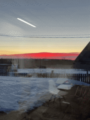 Domestic life documented in Chaikovsky: family, puppy, twilight skies
