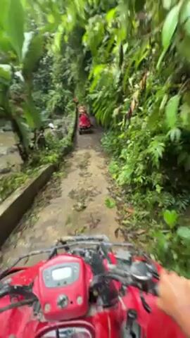 The video, shot from a first-person perspective, shows someone riding a red ATV through a lush, green, tropical environment. The path is muddy and wet, with a stream running alongside it. Other red ATVs can be seen ahead on the trail. The ATV rider navigates the muddy path, passing by dense vegetation and a small creek.