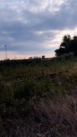 The video captures an outdoor scene at dusk. In the foreground, dry grasses and green vegetation are visible, suggesting a natural or rural environment. Running diagonally through the middle ground are weathered railroad tracks, partially overgrown with weeds, indicating disuse or abandonment. Beyond the tracks, a field stretches out, and in the distance, a lone tree stands against the horizon. To the far left, a tall metal structure resembling a utility pole or communication tower is silhouetted against the sky. The sky is filled with dramatic, dark clouds, with hints of lighter colors suggesting the last rays of sunlight. The overall impression is one of a quiet, slightly desolate landscape at the end of the day. There are no people or animals visible in the frame.