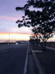 Dusk colors captured along tree-lined road in Altagracia, Venezuela