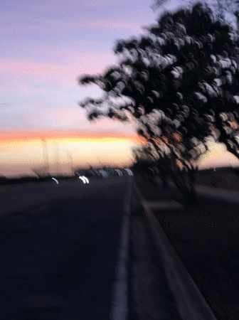Dusk colors captured along tree-lined road in Altagracia, Venezuela