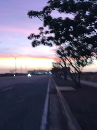 Dusk colors captured along tree-lined road in Altagracia, Venezuela