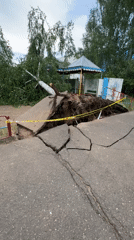 Storm damage and daily life documented in Chaikovsky, Russia
