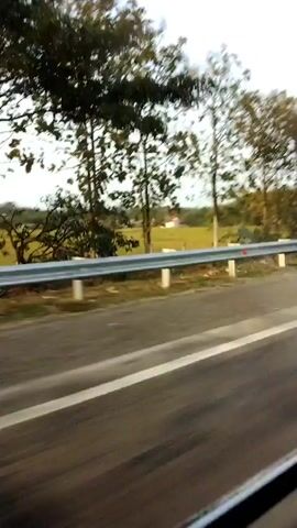 The video shows a blurry roadside view from a moving vehicle. The foreground is dominated by a blurred asphalt road with a white lane marker. A silver guardrail with white posts runs parallel to the road. Beyond the guardrail, there is a field with some trees scattered throughout. The sky is visible above the trees, appearing to be late afternoon or early evening due to the lighting. The overall impression is a transient glimpse of a rural landscape from a car.