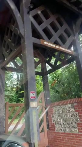 The video shows a person driving a car through a wooded area. The car is moving on a gravel road, surrounded by lush green trees. The camera is positioned inside the car, looking out through the windshield and side windows. The driver's side mirror is visible, reflecting the interior of the car. The video appears to be taken during the daytime, with sunlight filtering through the trees. The overall impression is one of a peaceful drive through nature.