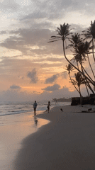 Stilt fishermen at work on Kathaluwa beach during sunset