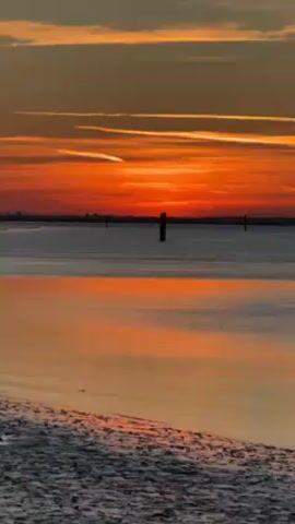 A static, eye-level shot depicts a vivid sunset over a calm body of water. The sky showcases a gradient of colors, transitioning from orange and red near the horizon to lighter hues of orange and yellow towards the top. A few elongated, wispy clouds streak horizontally across the upper sky. The water reflects the colors of the sunset, creating a mirrored effect. Several dark, slender posts are seen extending from the water's surface. The foreground shows a muddy or sandy shoreline, with visible textures and tonal variations.