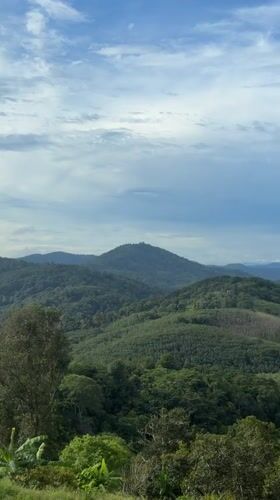 Hilltop views and coastal scenery around Karon, Phuket