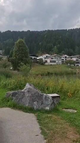 A water fountain shoots a powerful jet of water into the air on a lake. The fountain is located in the middle of the lake, and it is surrounded by tall grass and trees. In the background, there are houses and buildings that are built on a hillside. The sky is cloudy, and the weather appears to be overcast. The video begins with a shot of the lake and the surrounding scenery, then it zooms in on the water fountain as it begins to spray. The fountain continues to spray for the remainder of the video, and the camera pans across the lake to show the different angles of the fountain.