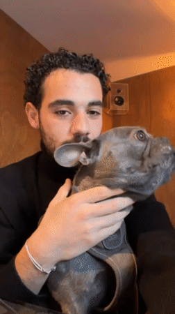 Everyday Brussels moments: coffee, dogs, architecture captured across morning