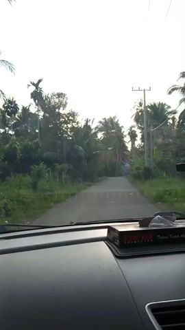 A car is driving down a narrow, grey asphalt road lined with lush green vegetation and tall palm trees. Overhead power lines run along the side of the road supported by wooden poles. The sky is bright and slightly overcast with thin, wispy clouds. The interior of the car is visible, with a dark dashboard and a box of tissues placed in front of the windshield. The camera angle is from the driver's perspective, capturing the view directly ahead.