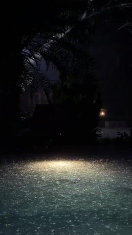 A nighttime scene shows rain falling on the surface of a body of water, possibly a pool. The water is illuminated by a light source, causing ripples and glints on the surface. Silhouetted palm trees and foliage are visible in the background, with a hint of artificial lighting and structures. The overall atmosphere is dark and tranquil.