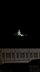 Kandy wildlife and Buddha statue documented by witness