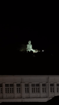 Kandy wildlife and Buddha statue documented by witness