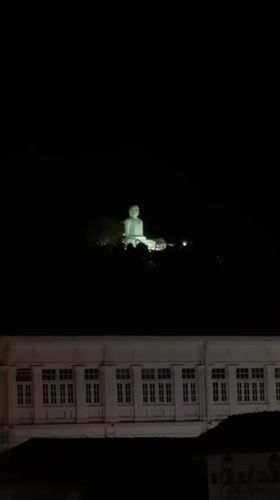 Kandy wildlife and Buddha statue documented by witness