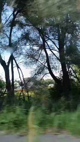 The video shows a side-view of trees, green foliage, and a blue sky with white clouds. The camera appears to be moving, giving the impression of a car ride through a wooded area. There is a white fence visible in the foreground of some shots. In the distance, there are glimpses of buildings. The lighting suggests it is daytime, possibly afternoon, with sunlight filtering through the trees. The motion blur indicates a moderate speed of movement.